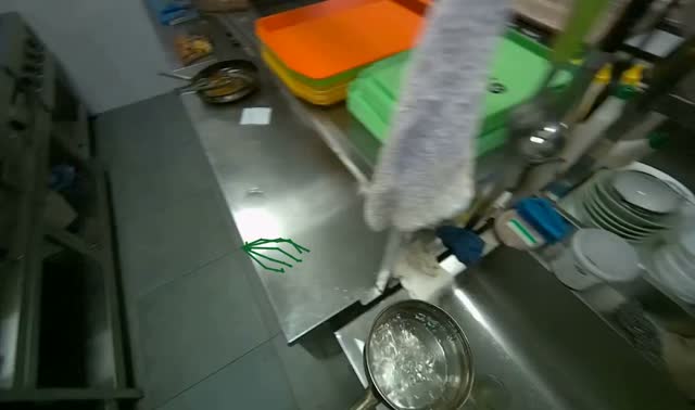 Preparing to cook dumplings: egocentric robotics sample