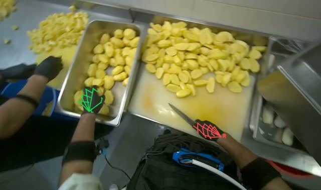 Dicing potatoes on cutting board: egocentric robotics sample