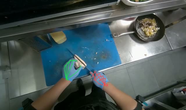 Slicing cooked chicken on cutting board: egocentric robotics sample