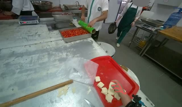 Placing Dough Pieces on a Tray: egocentric robotics sample
