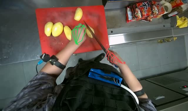 Chopping potatoes on cutting board: egocentric robotics sample