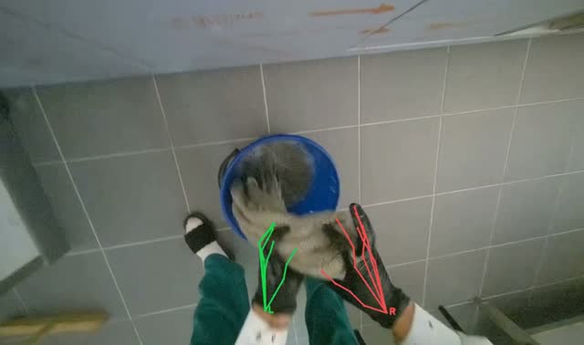 Wringing cleaning cloth: egocentric robotics sample