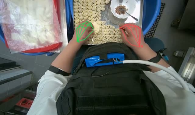 Filling dough pieces with meat: egocentric robotics sample