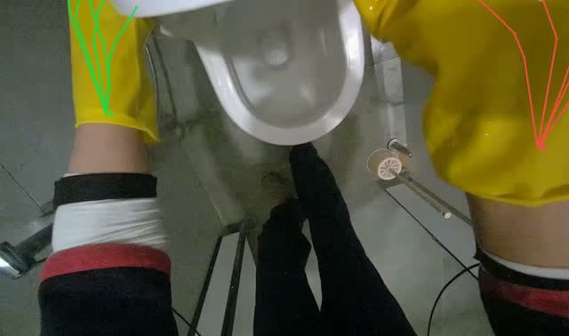 Cleaning a toilet: egocentric robotics sample