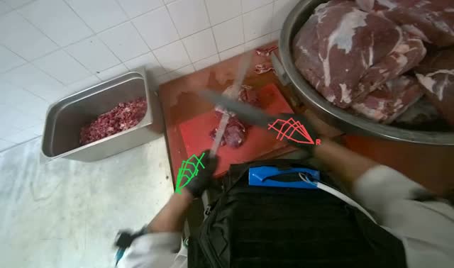 Sharpening knife: egocentric robotics sample