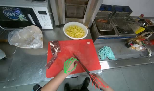 Cutting meat on chopping board: egocentric robotics sample