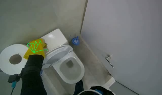 Flushing toilets in stalls: egocentric robotics sample