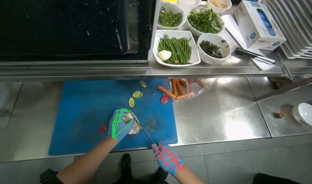 Slicing cooked chicken: egocentric robotics sample