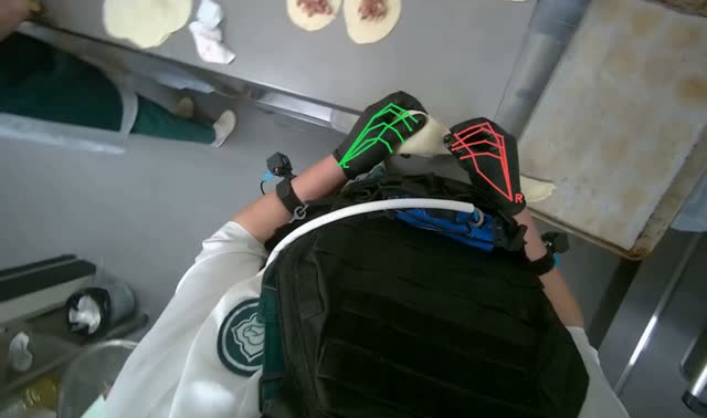 Folding meat-filled dough into dumplings: egocentric robotics sample