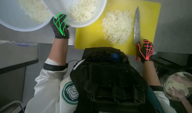 Transferring chopped onions to bowl: egocentric robotics sample