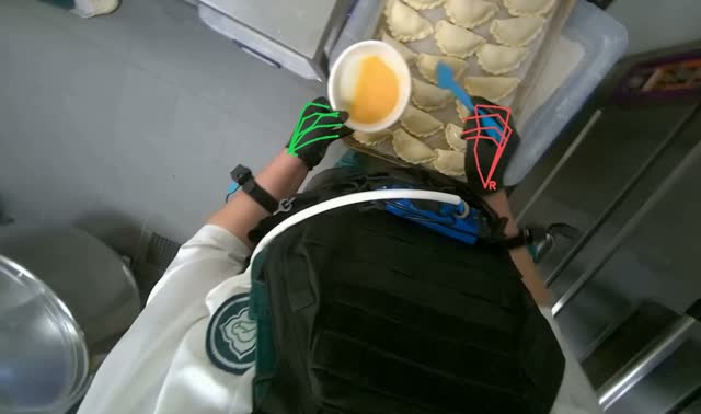 Brushing egg wash on dumplings: egocentric robotics sample