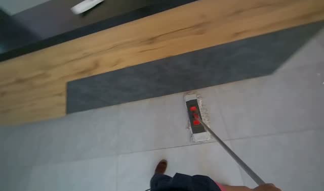 Mopping reception area floor: egocentric robotics sample