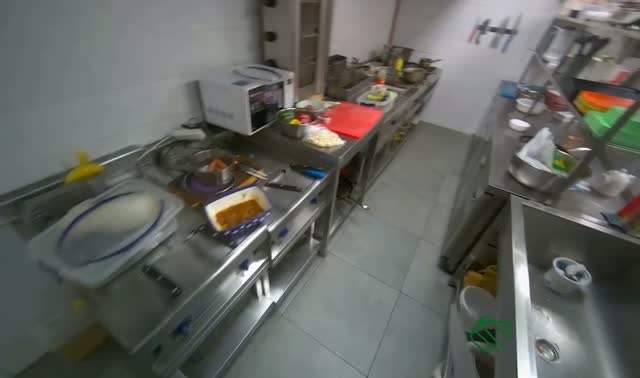 Preparing onions: egocentric robotics sample