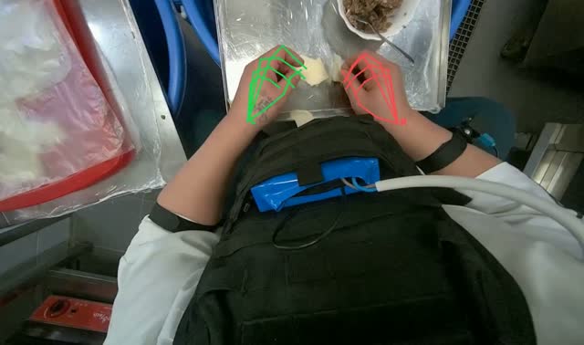 Making dumplings with meat filling: egocentric robotics sample