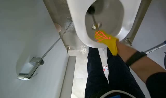 Cleaning toilet bowl: egocentric robotics sample