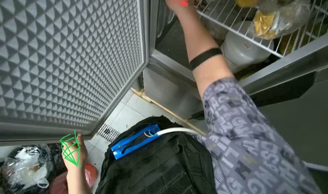 Organizing ingredients in refrigerator: egocentric robotics sample