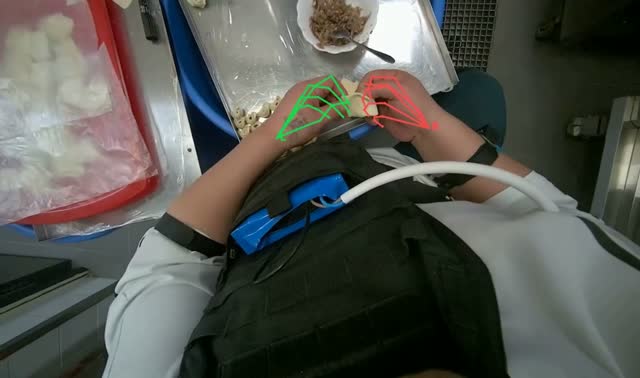 Making dumplings with meat filling: egocentric robotics sample