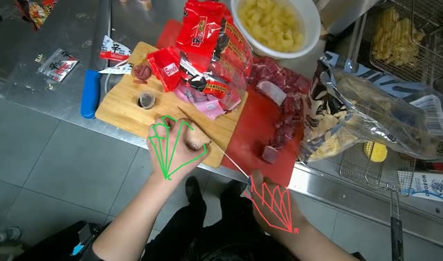 Cutting meat on cutting board: egocentric robotics sample