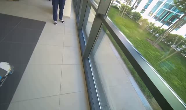 Wiping window frames and glass: egocentric robotics sample