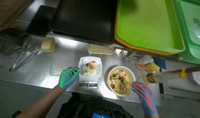 Weighing salad and preparing meal on stove: egocentric robotics sample