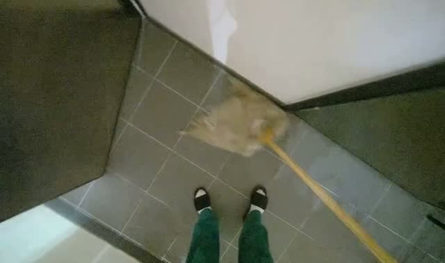 Mopping kitchen floor: egocentric robotics sample
