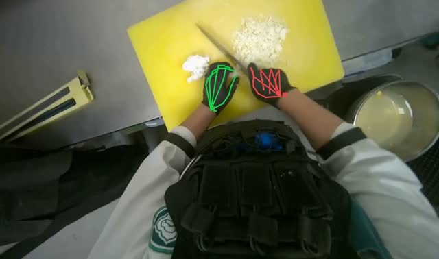 Chopping onion: egocentric robotics sample