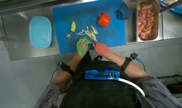 Cutting vegetables into strips: egocentric robotics sample