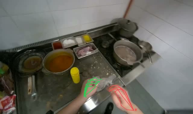 Adding Frozen Ingredients to Boiling Water: egocentric robotics sample
