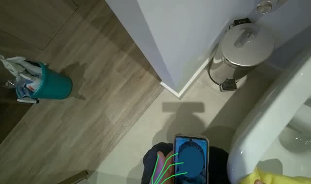 Cleaning toilet bowl: egocentric robotics sample