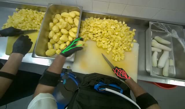 Cutting potatoes into pieces: egocentric robotics sample