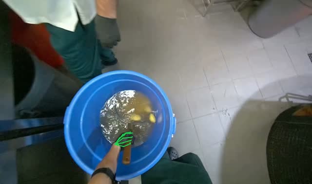 Transferring peeled potatoes to tray: egocentric robotics sample