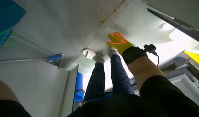 Applying cleaner to toilet and floor: egocentric robotics sample
