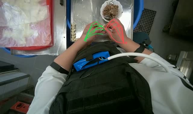 Making dumplings with meat filling: egocentric robotics sample