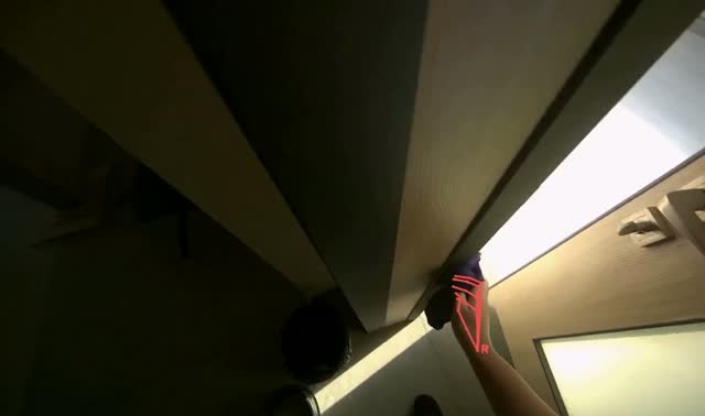 Wiping door handles and frames: egocentric robotics sample