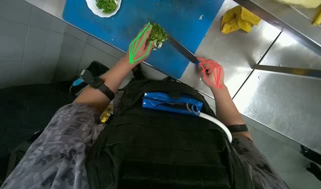 Chopping green herbs into bowl: egocentric robotics sample