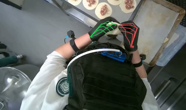 Preparing meat-filled dough: egocentric robotics sample