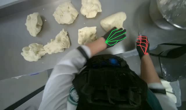 Arranging dough pieces on counter: egocentric robotics sample