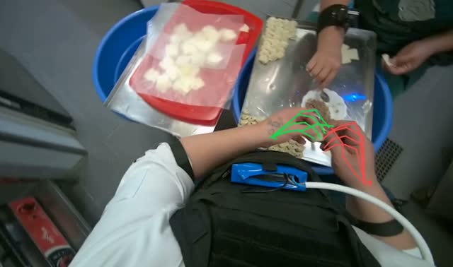 Making dumplings with meat filling: egocentric robotics sample