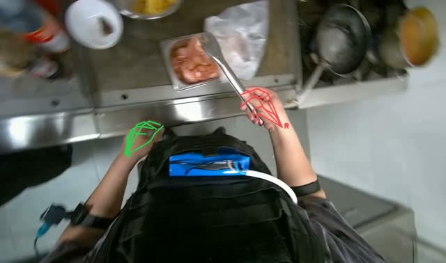 Preparing and frying raw meat: egocentric robotics sample