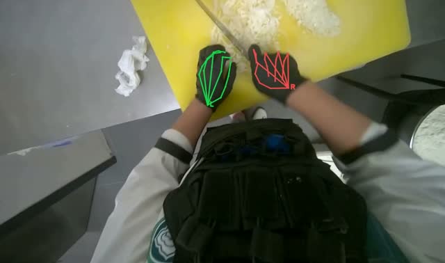 Chopping onion: egocentric robotics sample