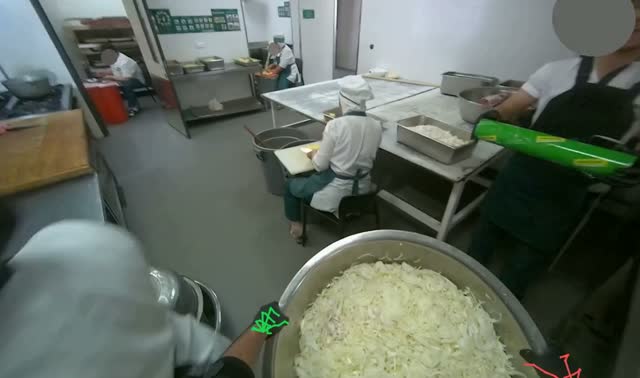 Transporting sliced onions to storage: egocentric robotics sample