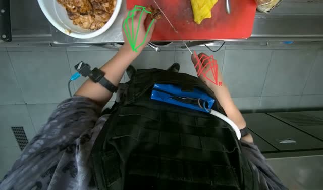 Cutting cooked chicken on board: egocentric robotics sample