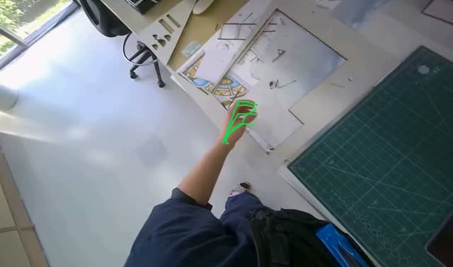Sorting and arranging paper cutouts: egocentric robotics sample
