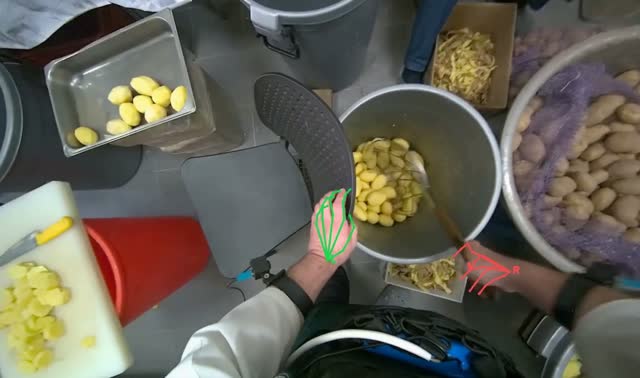 Scooping peeled potatoes into bucket: egocentric robotics sample