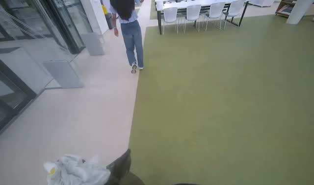 Sorting trash into bins: egocentric robotics sample