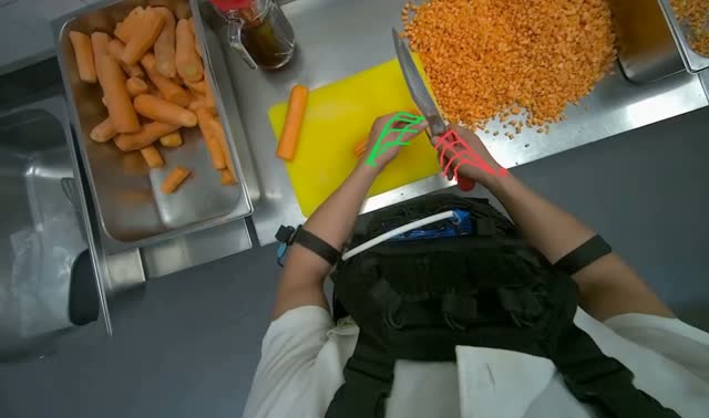 Dicing carrots on cutting board: egocentric robotics sample