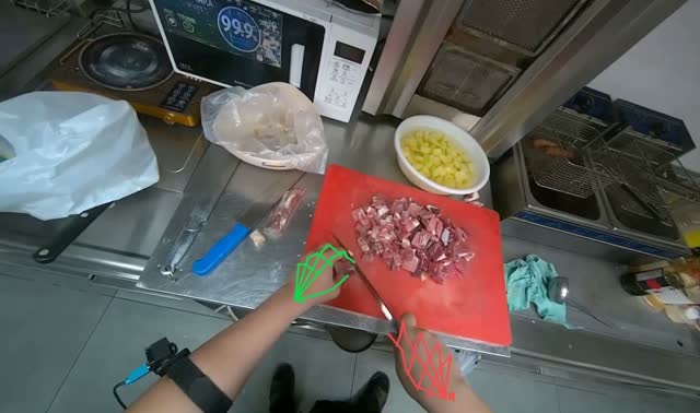 Cutting meat on chopping board: egocentric robotics sample
