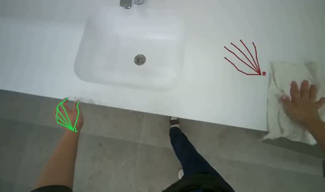 Cleaning bathroom sinks and countertops: egocentric robotics sample