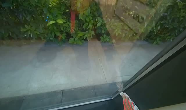 Wiping window frames with cloth: egocentric robotics sample