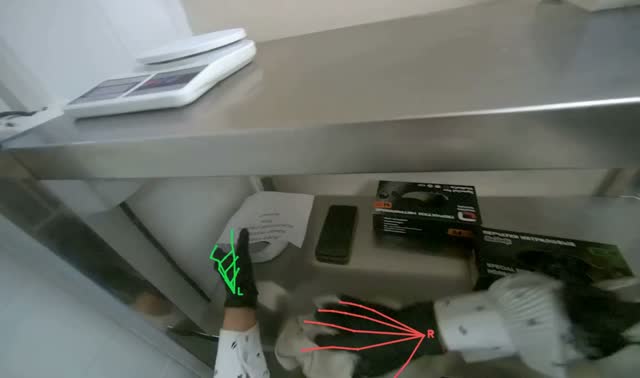 Cleaning and organizing shelves: egocentric robotics sample